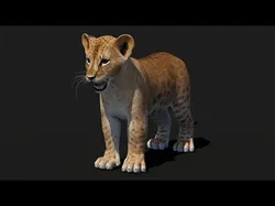 Baby Lion Low-poly 3D model