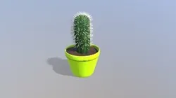 Cactus