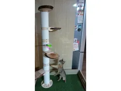Cat Tower plastic wrap Utilization