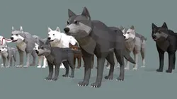 Low Poly Wolf family