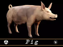 Pig - Animal  Low-poly 3D model