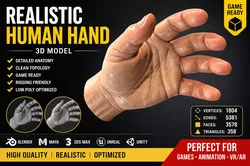 Realistic Human Hand 3D model