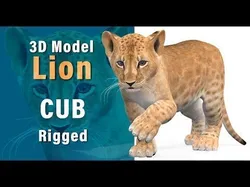 Rigged Lion Cub 3D model