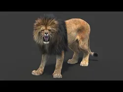 Rigged Lion Fur 3D model