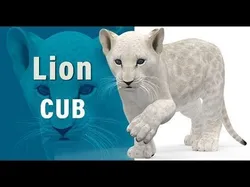 Rigged White Lion Cub Low-poly 3D model