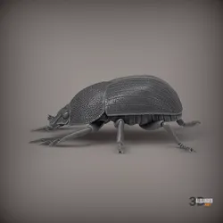 Scarab 3D print model
