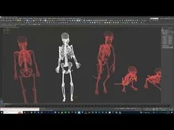Skeleton and Skull Mega Pack - fish dinosaur human bird moose