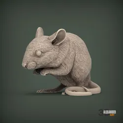 Wood Mouse