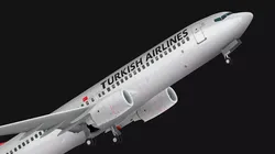 Boeing 737-800 Turkish Airlines Low-poly 3D model
