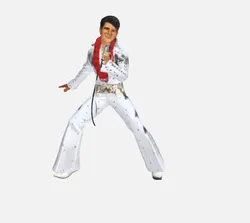 Elvis Presley - Figure