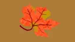 leaf