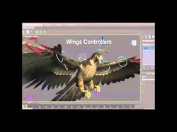 Peregrine Falcon Folded Wings Low-poly 3D model