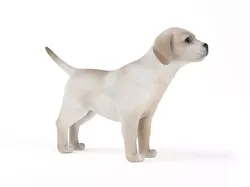 White Puppy Paying Attention 3D model