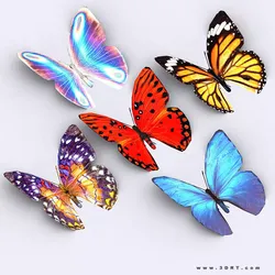 3DRT - Butterfly Low-poly 3D model
