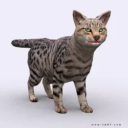 3DRT - Cat Low-poly 3D model