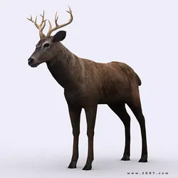 3DRT - Deer Low-poly 3D model
