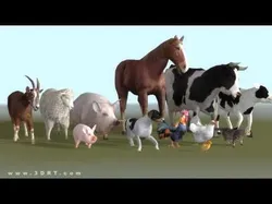 3DRT - Domestic Animals  Low-poly 3D model
