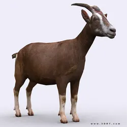 3DRT - Goat Low-poly 3D model