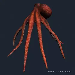 3DRT - Sealife - Octopus Low-poly 3D model