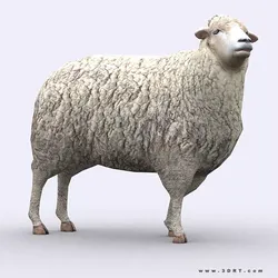 3DRT - Sheep Low-poly 3D model