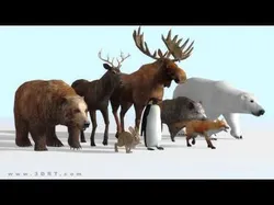 3DRT - Wild Animals Low-poly 3D model