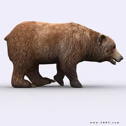3DRT - Wild Bear Low-poly 3D model