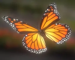 Animated Butterfly Low-poly 3D model
