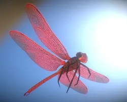 Animated Dragonfly Low-poly 3D model