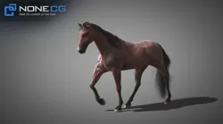 Animated Horses 3DS Max 3D model