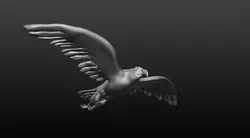 bald eagle 3D model