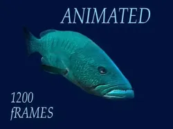 Bass Fish 3D model