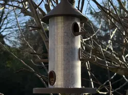 Bird feeder glue-free 100% customizable - Free 3D Print Model