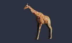 giraffe 3D model