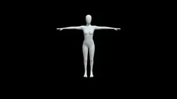 Girl Morph3