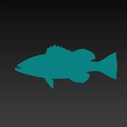 Grouper