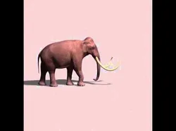Hollywood Mammoth - 3d model 3D model