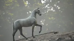 Horse Rigged Animated and Textured Low-poly 3D model