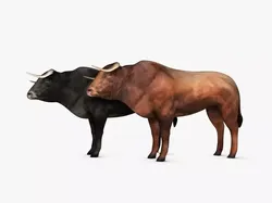 Low Poly Bull Low-poly 3D model