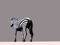 Low poly Savannah pack - 3d model Low-poly 3D model