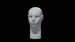 Memorized Head - John Asaro