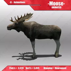 Moose Animated 3D model