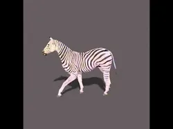 Photoreal HD Zebra - 3d model 3D model