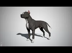 Pitbull Real-Time Low-poly 3D model