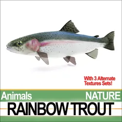 Rainbow Trout 3D model