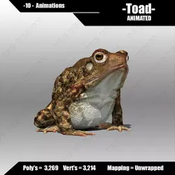 Toad Animated Low-poly 3D model