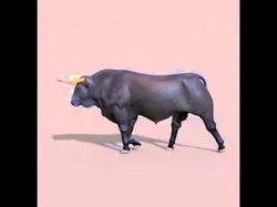 Ultimate Bull - 3d model 3D model
