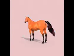 Ultimate Horse Collection - 3d model 3D model