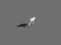 Unique Feline Pack - 3d lion model 3D model