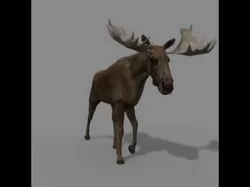 Virtual Moose 3d model 3D model