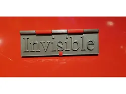 Visible Invisible Flag